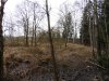 P1020108.JPG