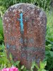IMG_20170610_114920.jpg