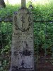 IMG_20170610_120148.jpg