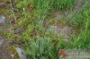 DSC_0768.jpg