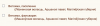 upload_2025-6-2_18-48-38.png