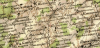 upload_2025-6-2_21-20-56.png