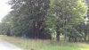 20200719_115347.jpg