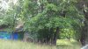 20200719_115314.jpg