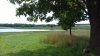 20200719_115049.jpg