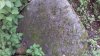 20200719_114131.jpg