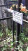 20200719_113652.jpg