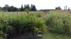 20200719_103125.jpg