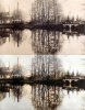 Photo-4500373-2-Comparison.jpg
