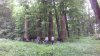 20210612_160135.jpg