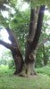 20210612_160357.jpg